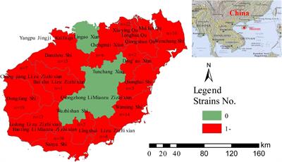 Molecular Characteristics of Burkholderia pseudomallei Collected From Humans in Hainan, China